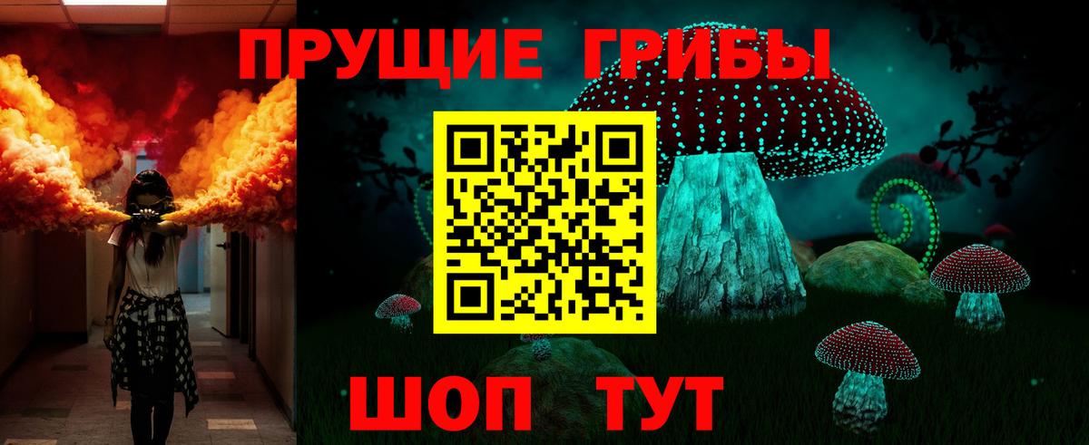 Псилоцибиновые грибы Psilocybe  Вход с VPN  Чусовой 