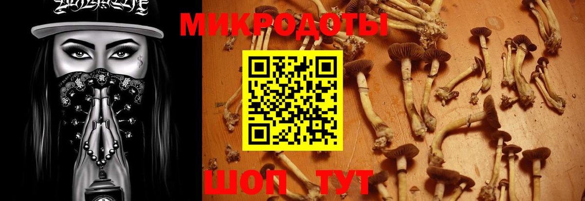 Псилоцибиновые грибы мухоморы Чусовой